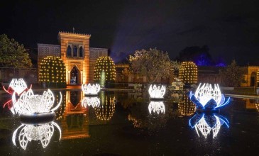 Christmas Garden